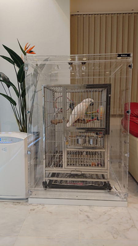 オオバタンの鳥かごを入れたアクリルケース