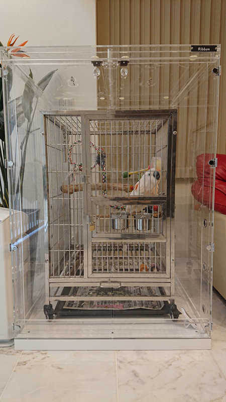 鳥かごはえとぴりか
